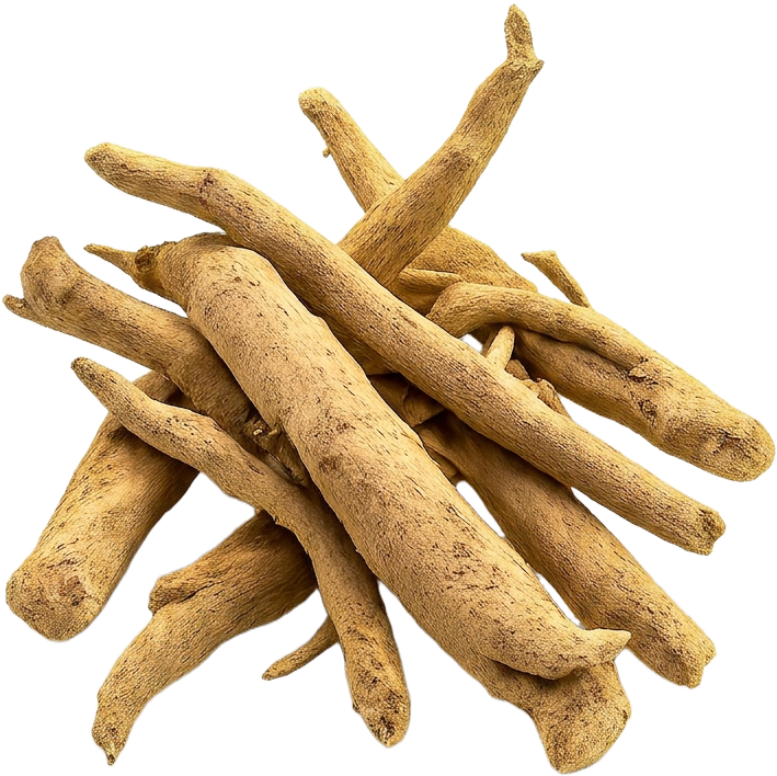 Ashwagandha 30:1